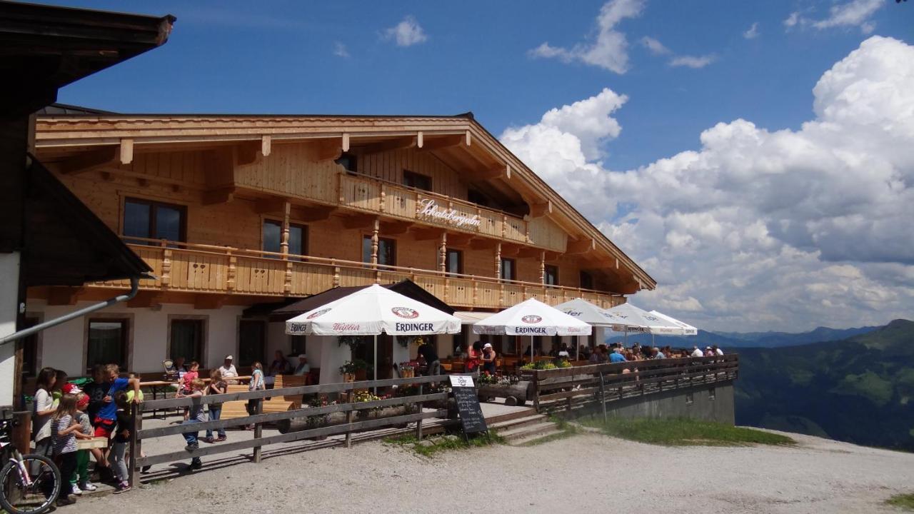 Berggasthof Schatzbergalm Thierbach 客房 照片