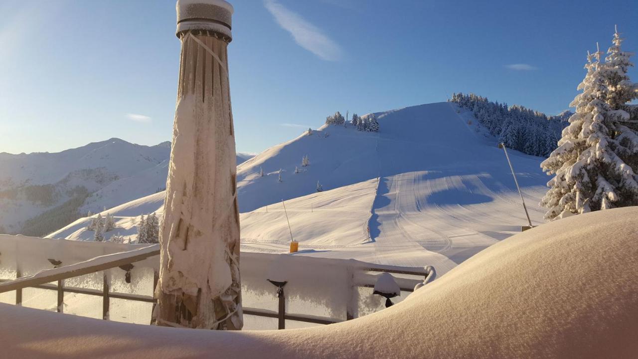 Berggasthof Schatzbergalm Thierbach 外观 照片
