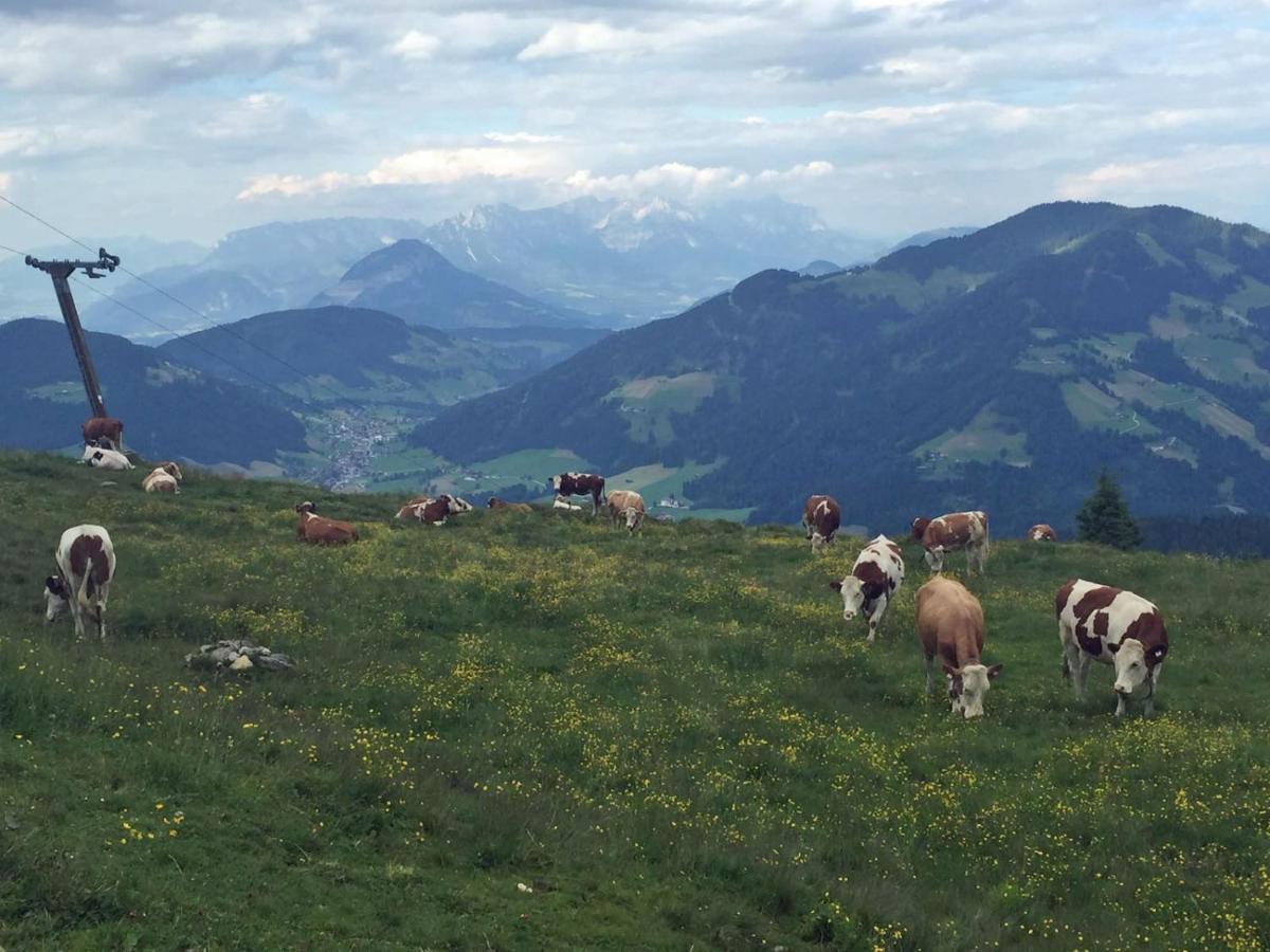 Berggasthof Schatzbergalm Thierbach 外观 照片